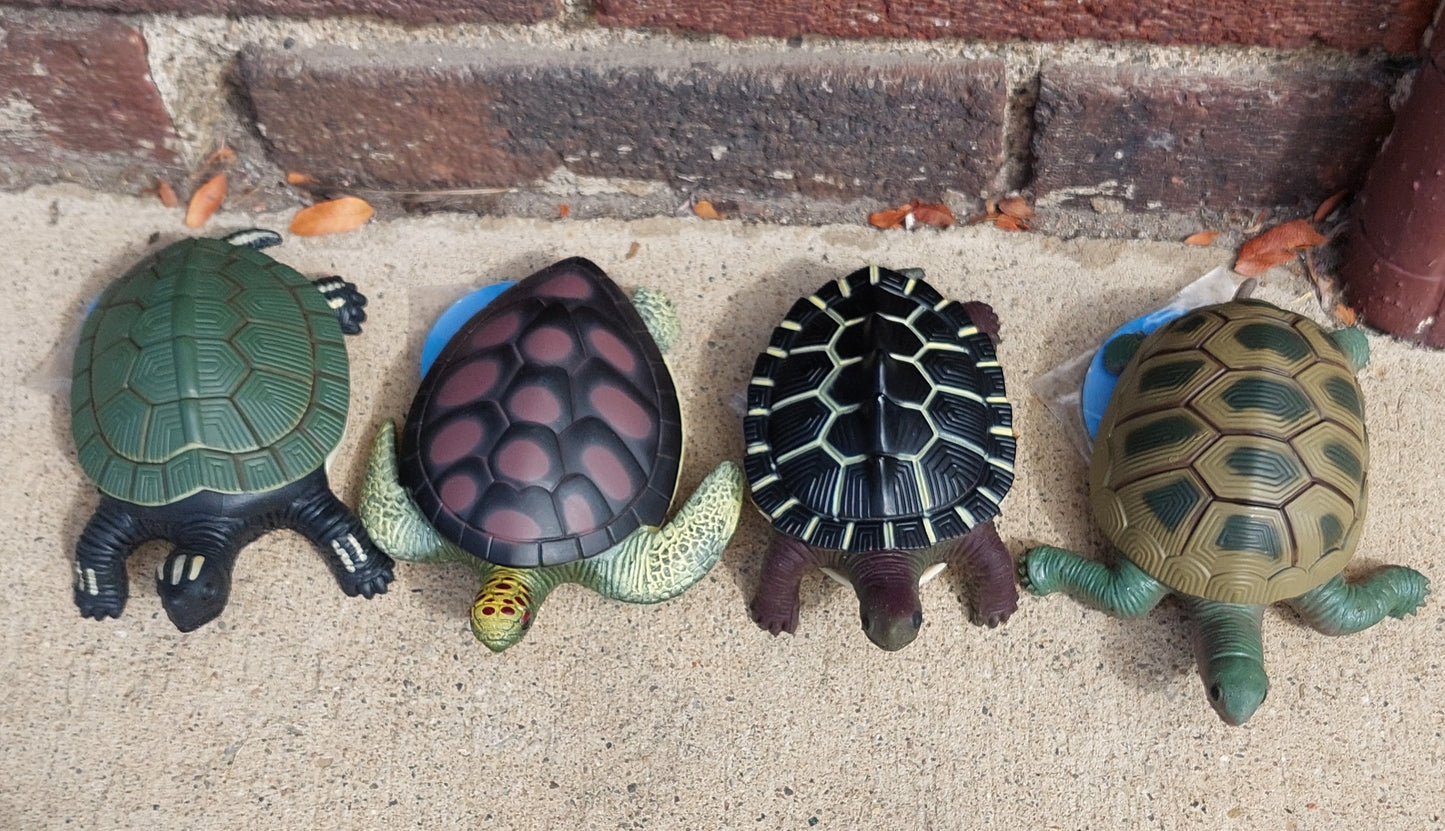 Turtle Squishimals