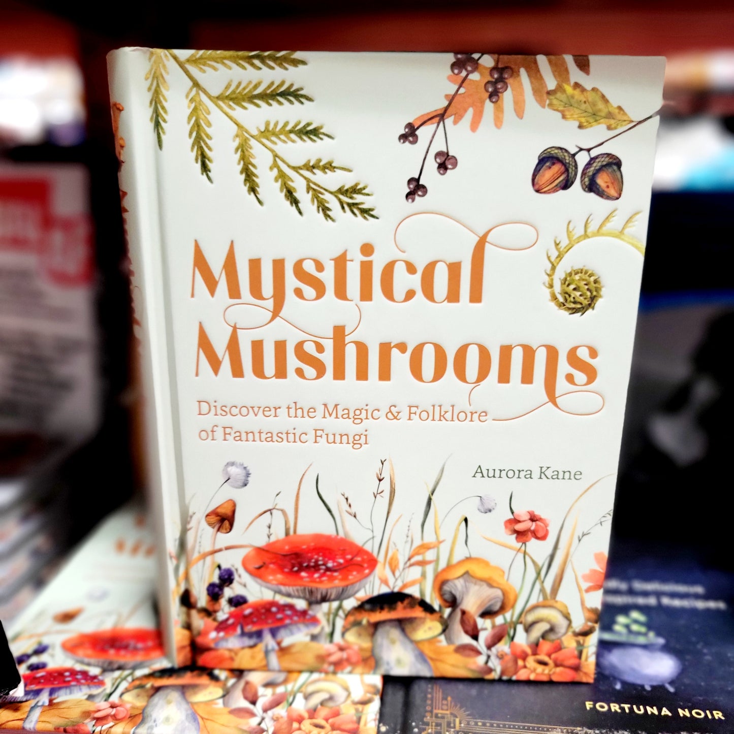 Mystical Mushrooms Book