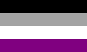 Asexual Flag 3 X 5