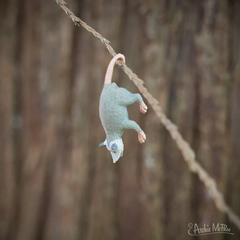 Itty Bitty Possums