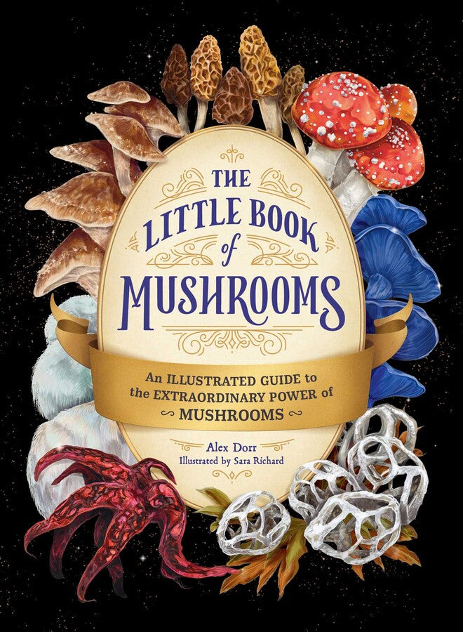 Little Book Of Mushrooms