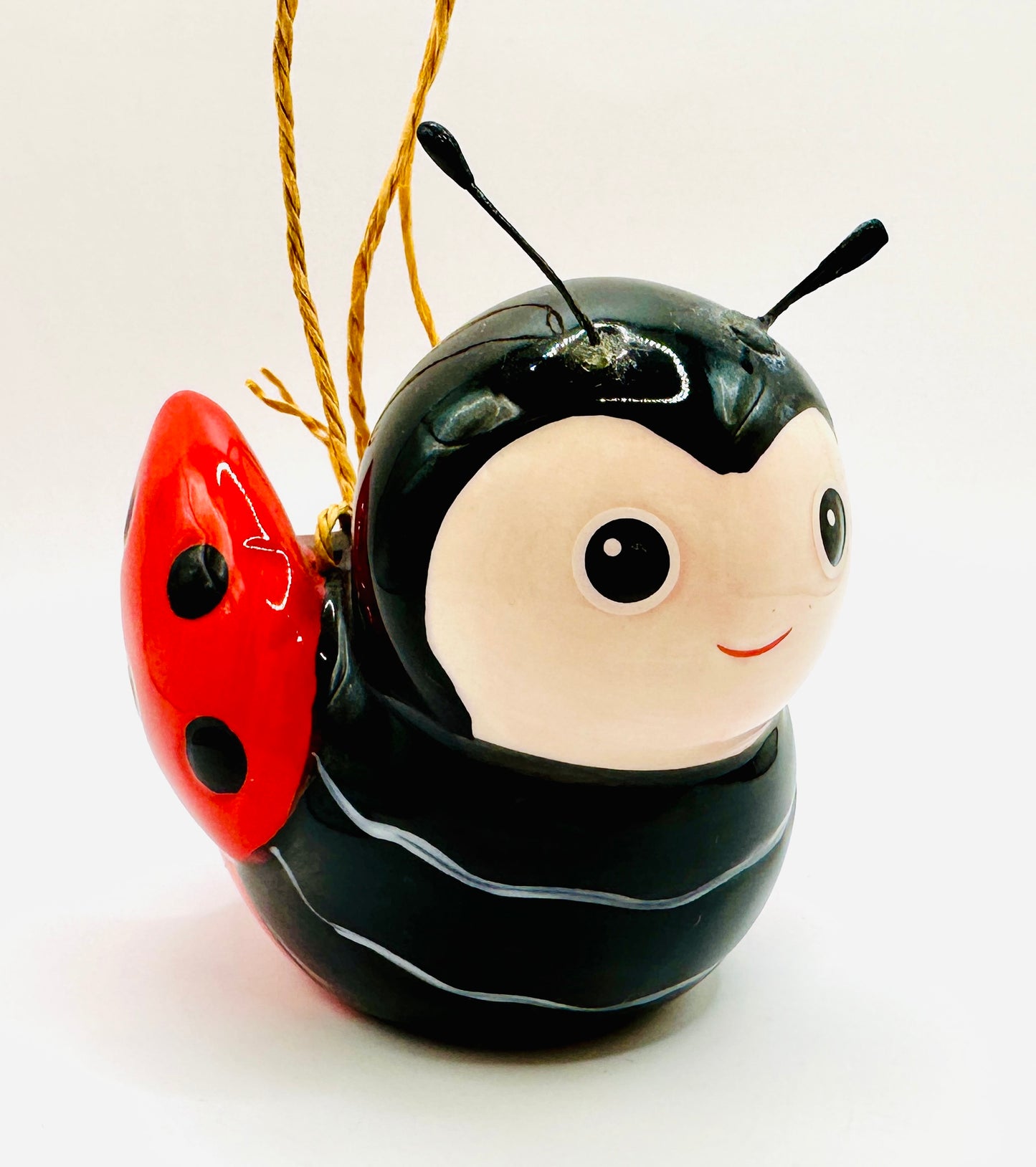 Mini Insect Hanging Planter