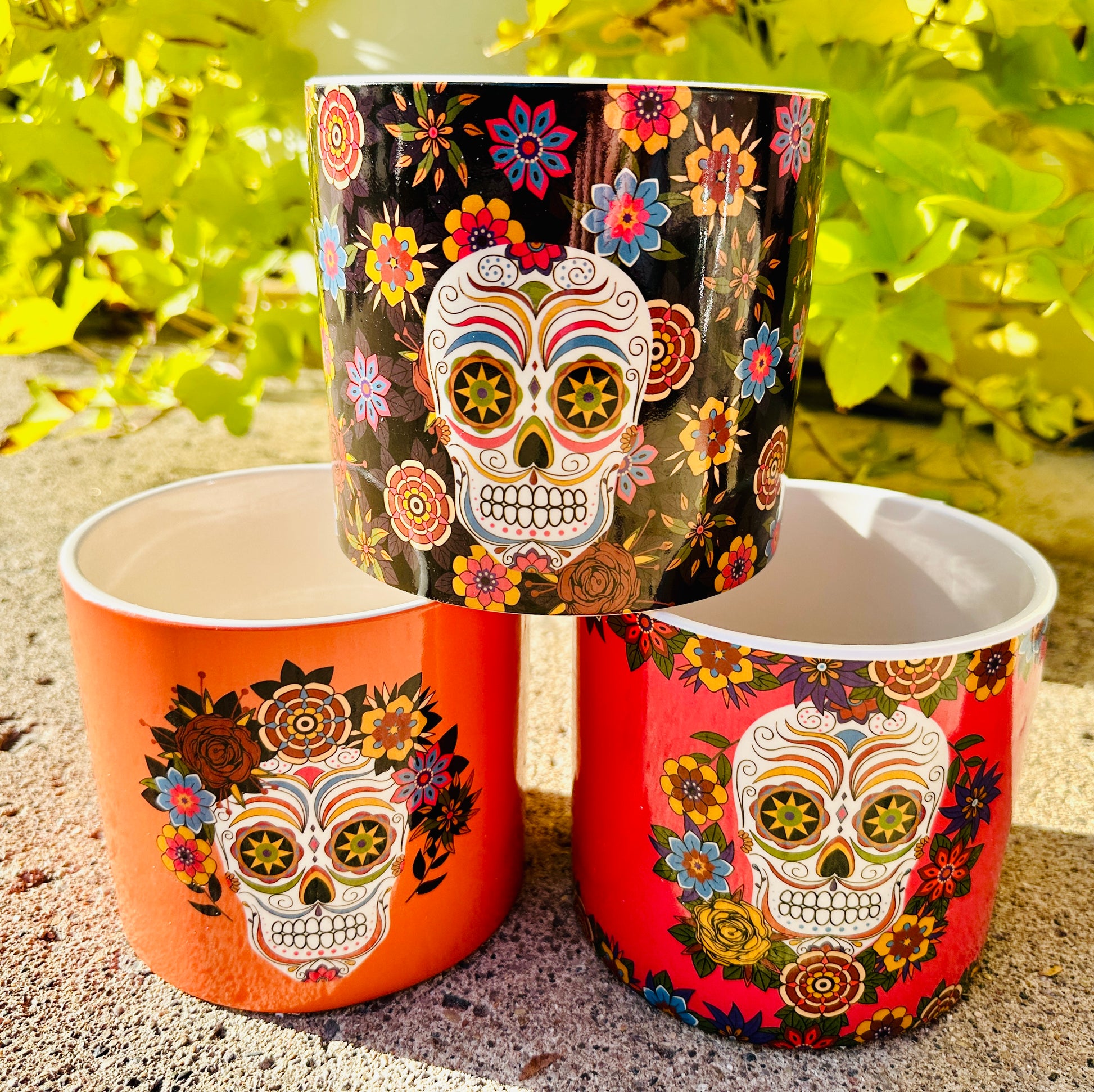 Sugar Skull Ceramic Planter Assorted