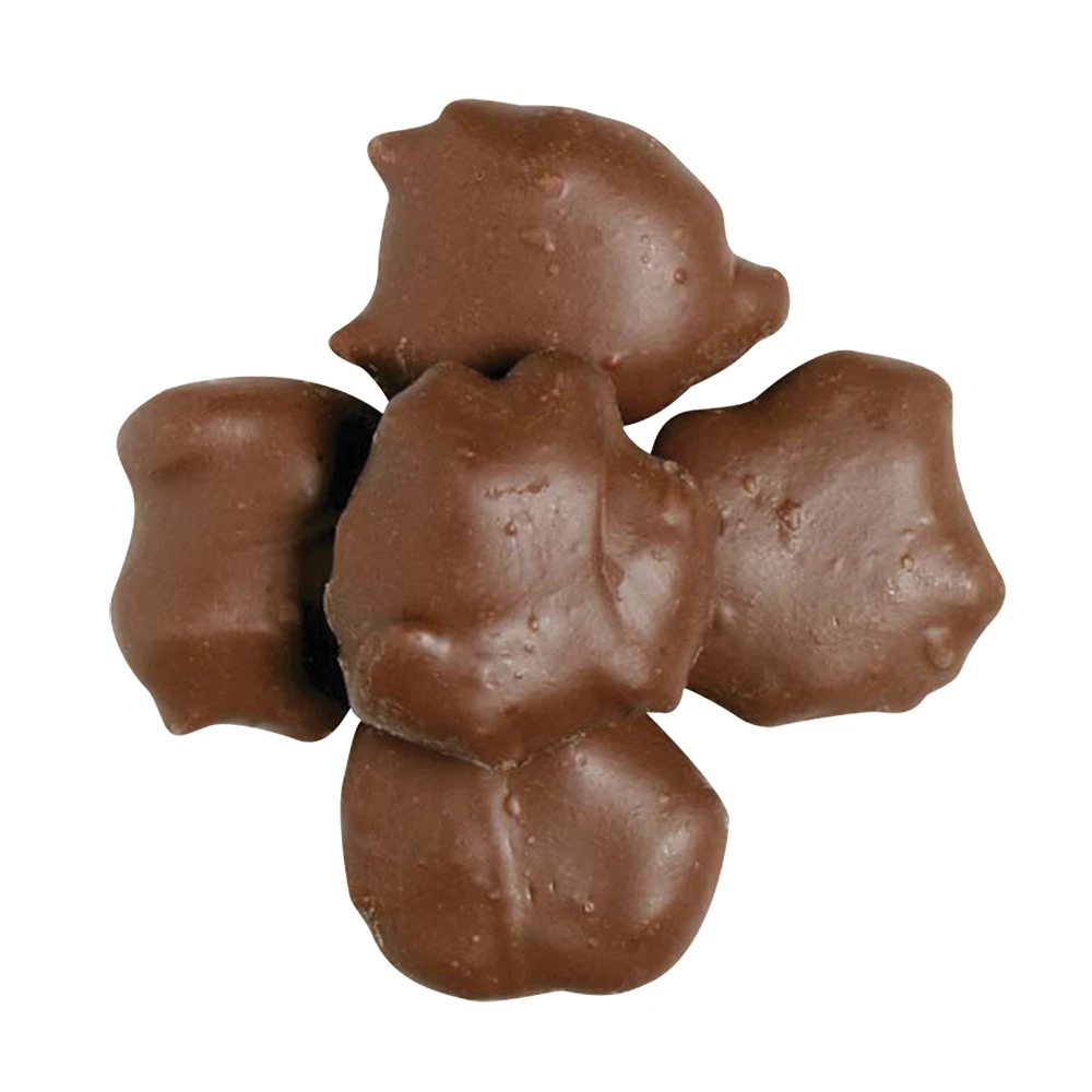 Pecan Caramel Clusters 4 oz