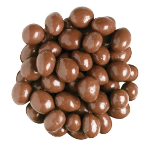 Chocolate Covered Peanuts 4 oz