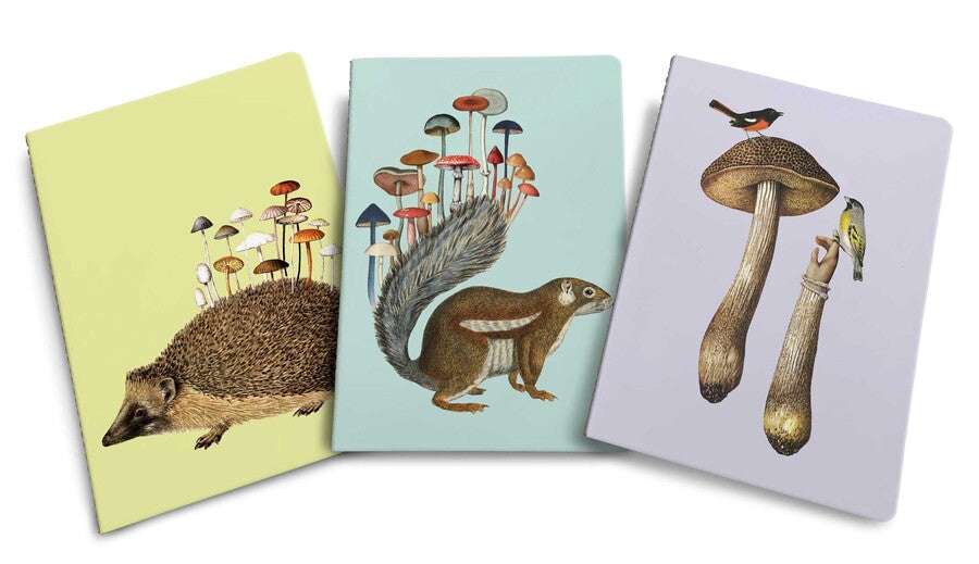 Fungi Collection Art Of Nature Set Of Three Sewn Notebooks Amy Ross