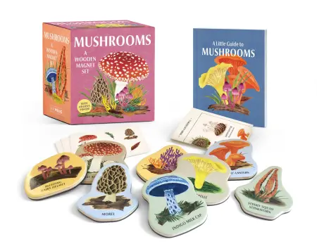 Mushrooms Wooden Magnet Kit