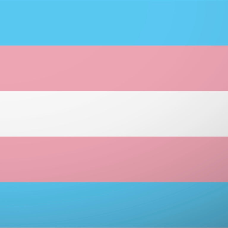 Trans Flag Vinyl Sticker