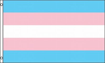 Transgender Flag 3 X 5 –